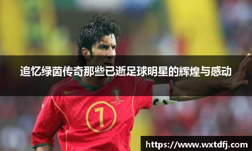 追忆绿茵传奇那些已逝足球明星的辉煌与感动